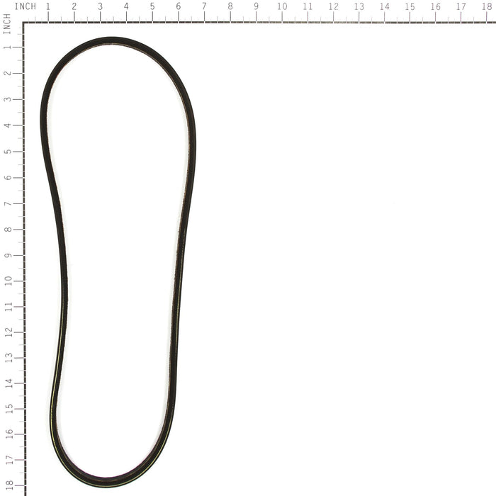 Murray 313847MA Auger Drive Belt Murray 313847MA Auger Drive Belt