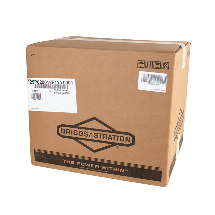 Briggs & Stratton 875 Professional Series Engine