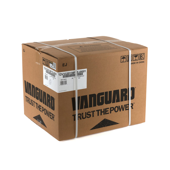 Briggs & Stratton 12V332-0138-F1 Engine Packed Single Carton