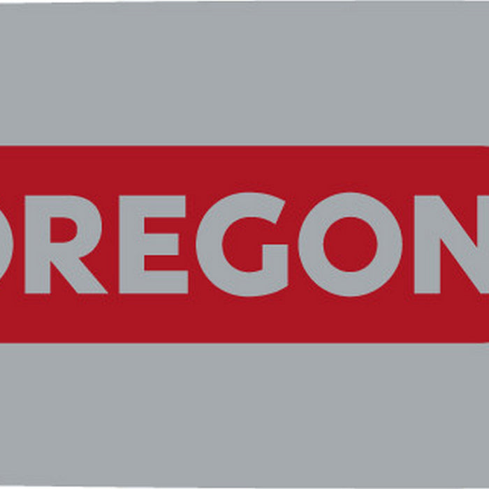 Oregon 160SXEA318 AdvanceCut™ Guide Bar 16