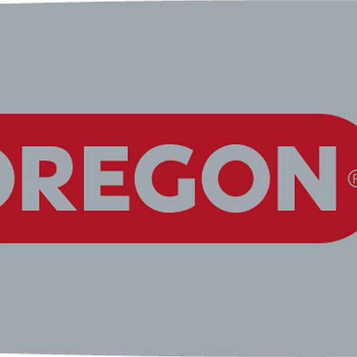 Oregon 160VXLGK095 .050
