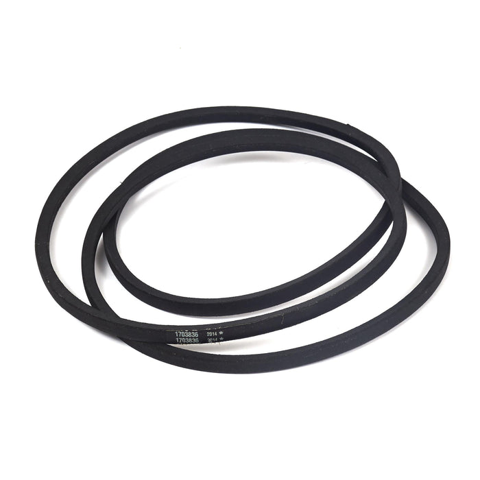 Briggs & Stratton 1703836SM V-Belt Arbor Drive - 50