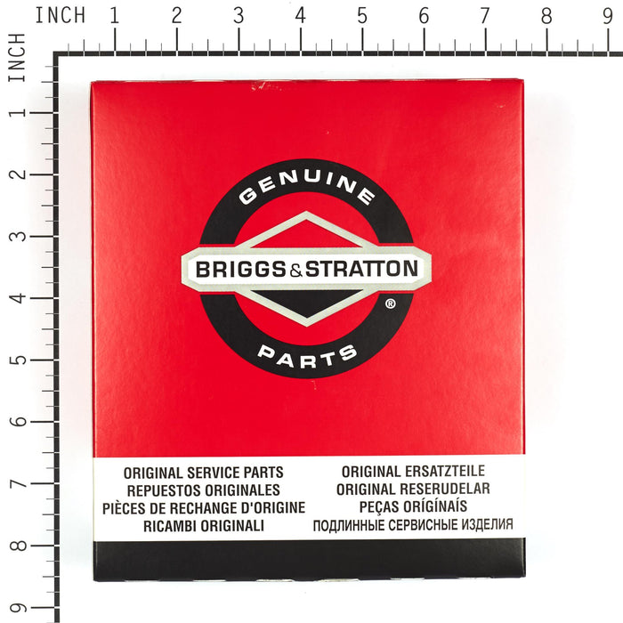 Briggs & Stratton 1737311YP Gear Drive