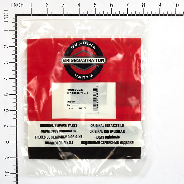 Briggs & Stratton 190592GS Kit - Check Valve