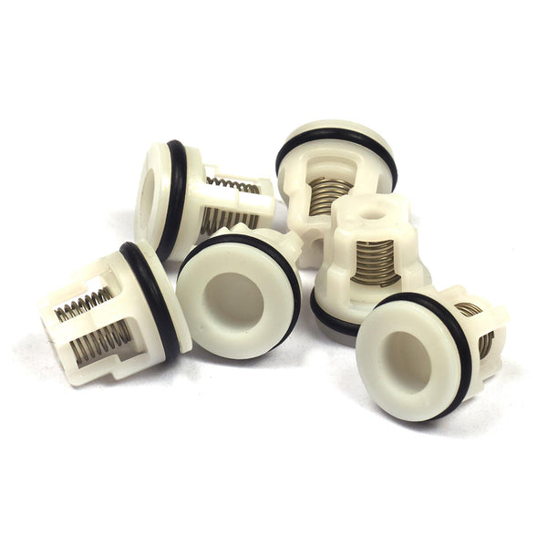 Briggs & Stratton 200344GS Valve Kit
