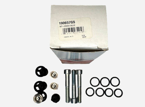 Briggs & Stratton  190657GS Pressure Washer Check Valve Kit