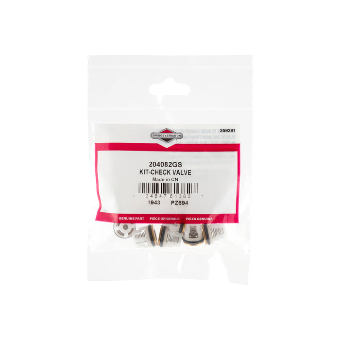 Briggs & Stratton 204082GS Valve Lawn Mowers