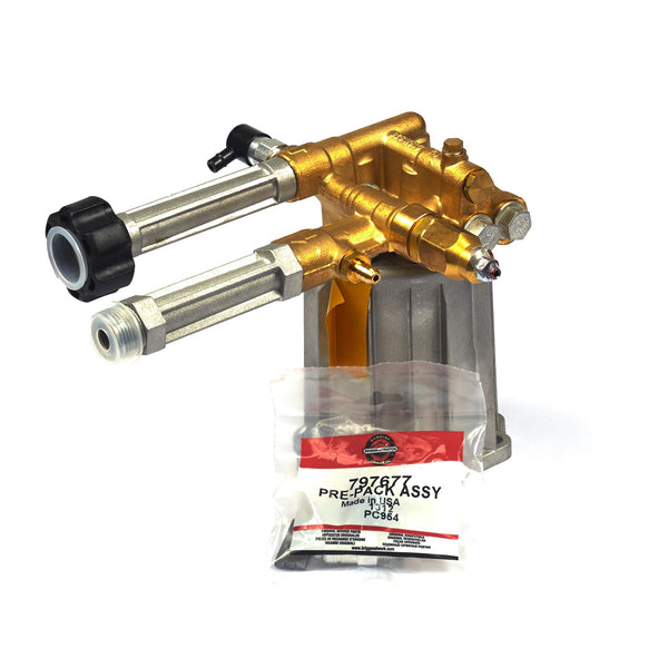 Briggs & Stratton 206376GS Assembly Pump
