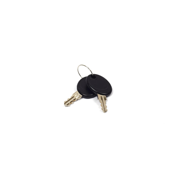 Briggs & Stratton 207652GS Key Set