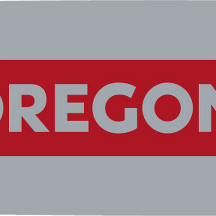 Oregon 243ATMD025 DuraCut™ Guide Bar 24