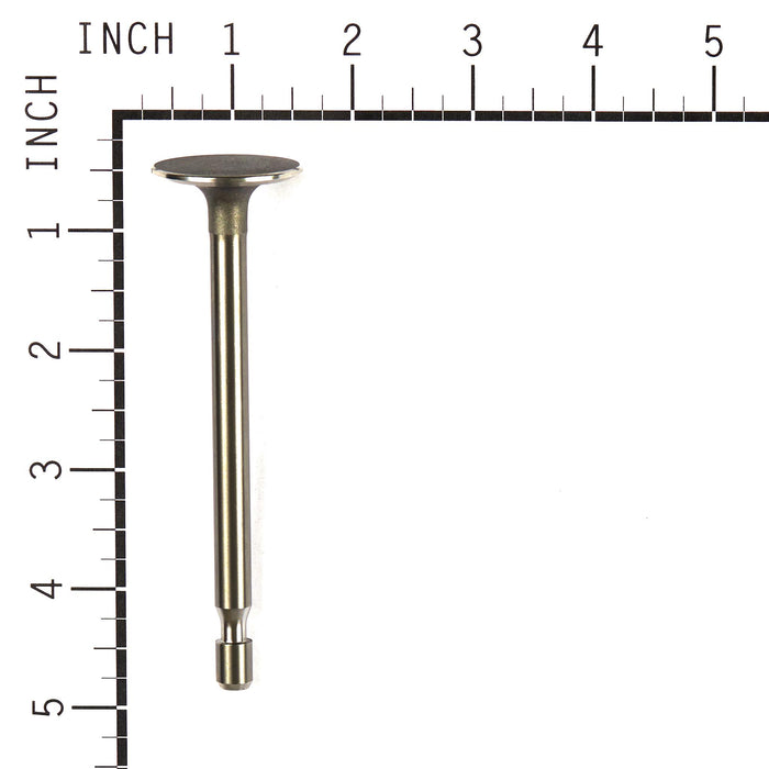Briggs & Stratton 261055S Intake Valve