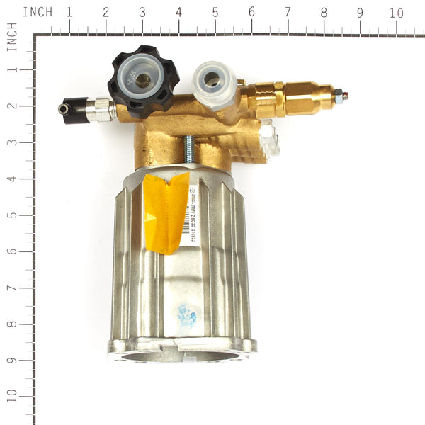 Briggs & Stratton 317054GS Pump