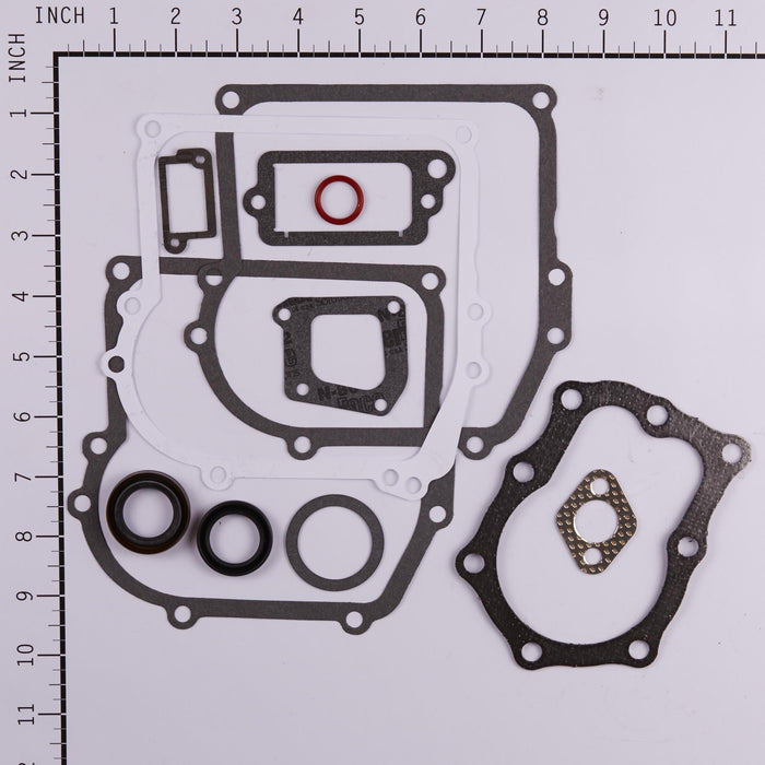 GENUINE OEM BRIGGS & STRATTON - GASKET SET-ENGINE 391662