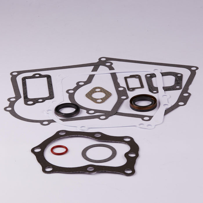 GENUINE OEM BRIGGS & STRATTON - GASKET SET-ENGINE 391662