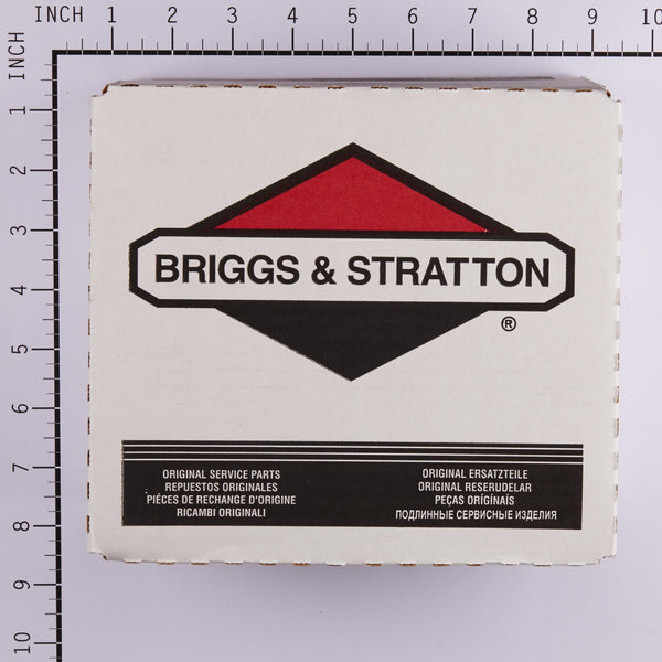 Briggs & Stratton 392587 Carburetor Assembly