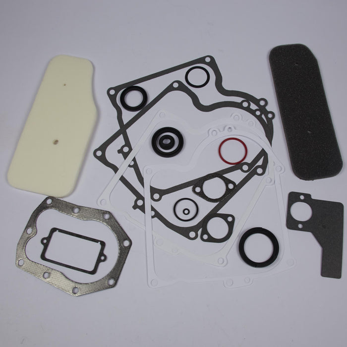 Briggs & Stratton 393411 Gasket Set-Engine