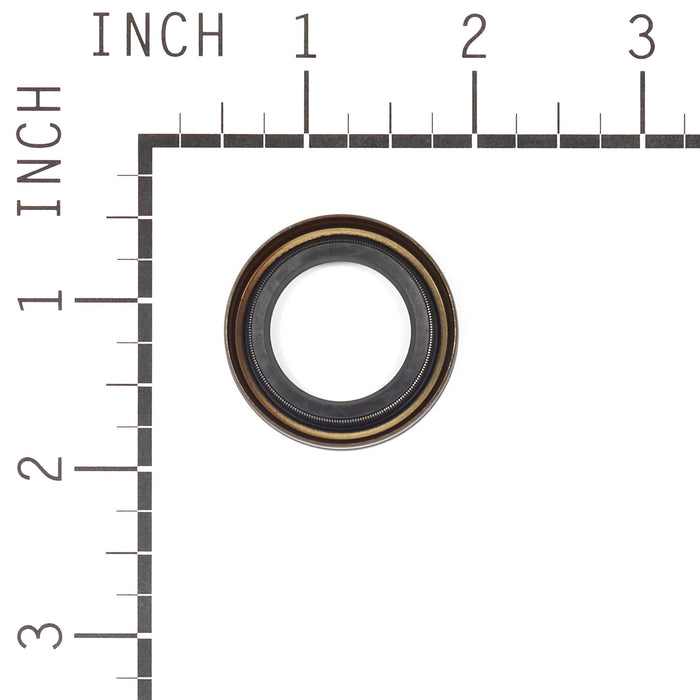 BRIGGS & STRATTON 4118 SEAL-OIL (5 X 391483S)