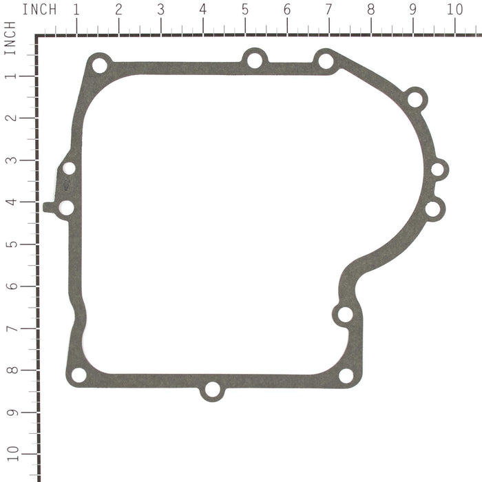 Briggs & Stratton 4163 Contains 10