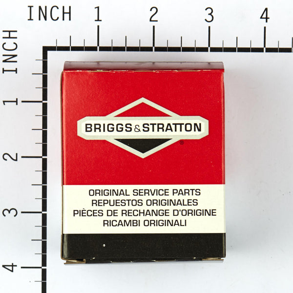 Briggs & Stratton 494622 Carburetor Overhaul Kit