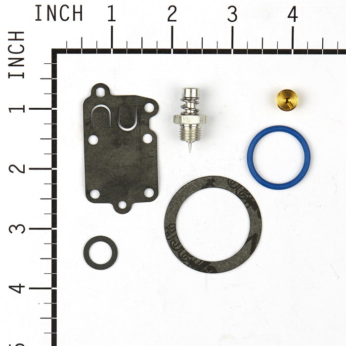 Briggs & Stratton 494625 Carburetor Overhaul Kit