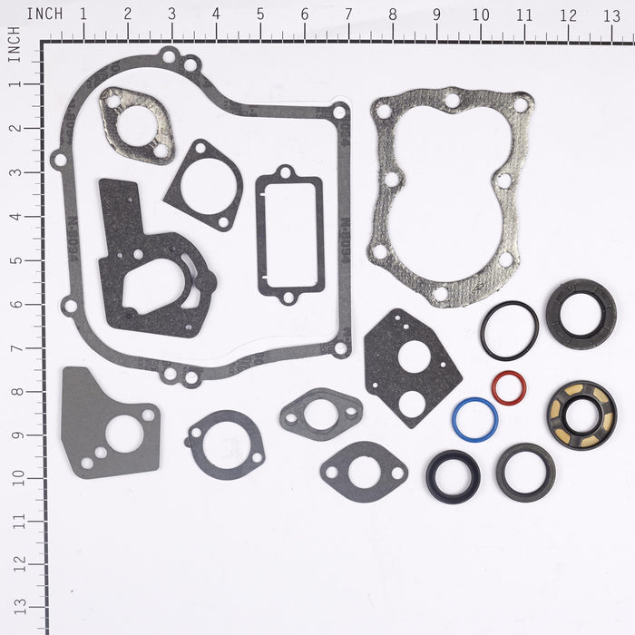 Briggs & Stratton 495603 Engine Gasket Set