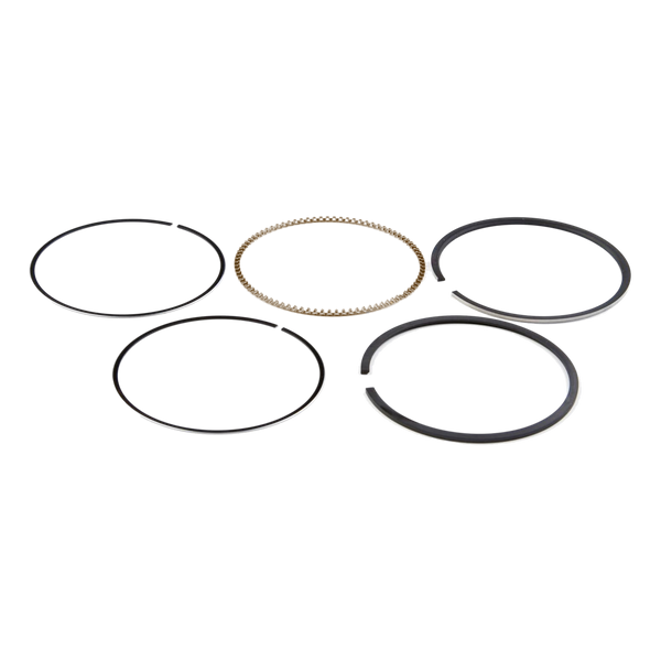 Briggs & Stratton 791969 Std Ring Set