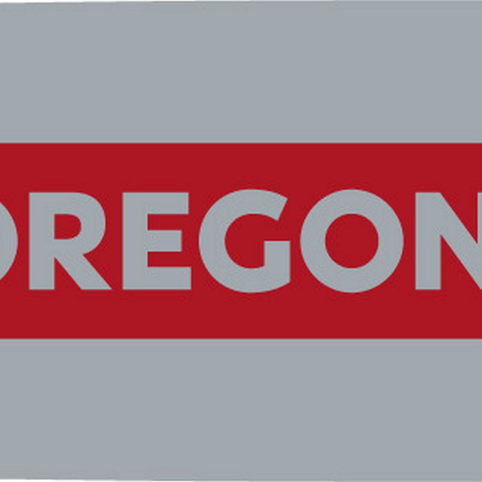 Oregon 584271 Chainsaw Bar & Chain Combo 20