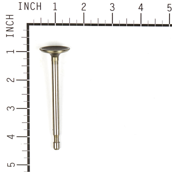 Briggs & Stratton 590393 Intake Valve