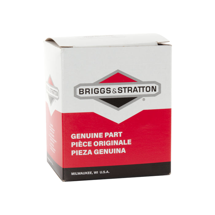 Briggs & Stratton 591110 Snowblower Carburetor