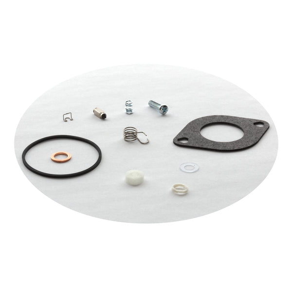 Briggs & Stratton 594886 Kit-Carburetor Overhaul