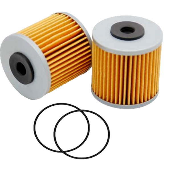 2 Pack Rotary 16018 Transmission Filter Kit Replaces Hydro-Gear 71943 72750 ZT Series