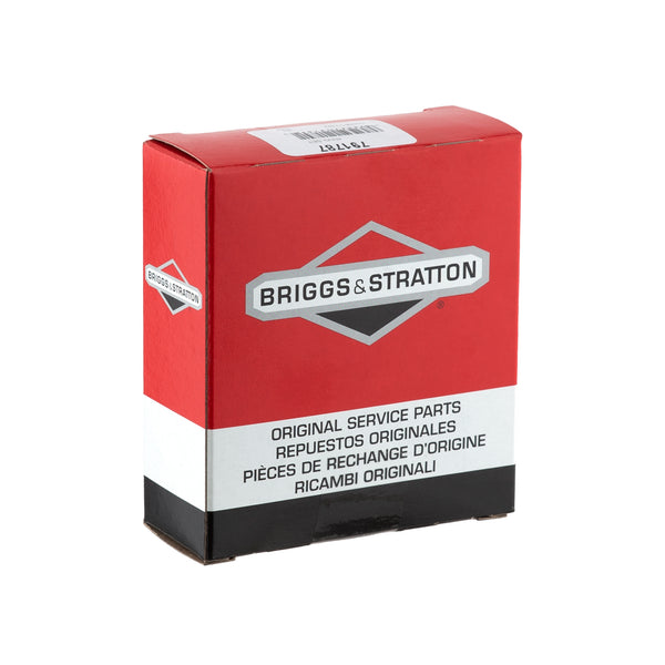 Briggs & Stratton 791787 Ring Set