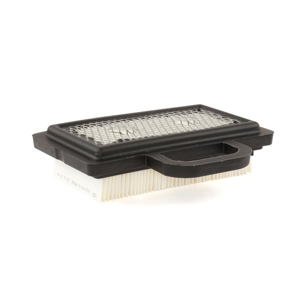 Briggs & Stratton 792101 Flat Air Filter Cartridge