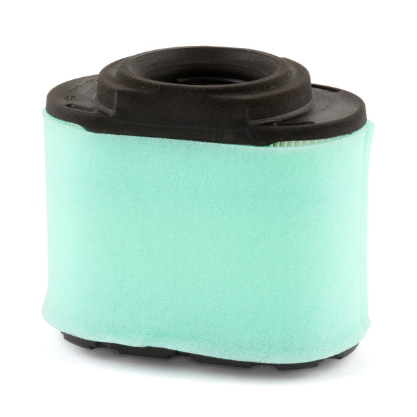Briggs & Stratton Genuine Extended Life Series Air Filter Cartridge with Pre Cleaner