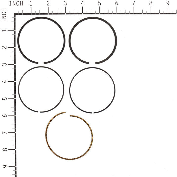 Briggs & Stratton 795431 Ring Set