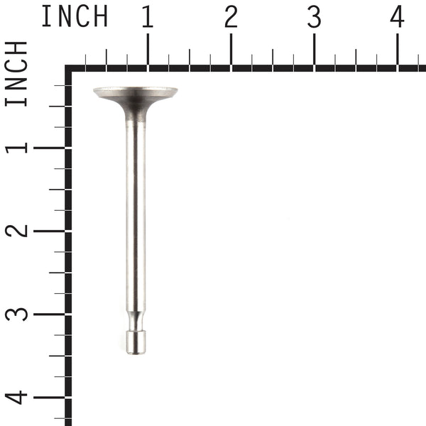 Briggs & Stratton 795443 Intake Valve