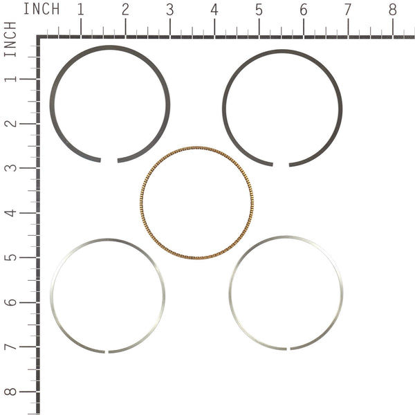 Briggs & Stratton 795690 DTF Ring Set