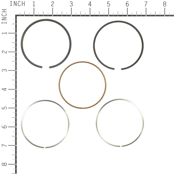 Briggs & Stratton 795690 DTF Ring Set