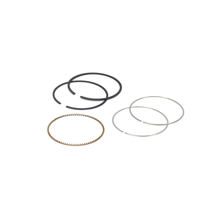 Briggs & Stratton 795690 DTF Ring Set