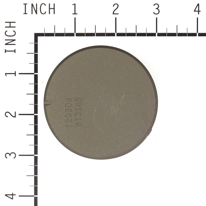 Briggs & Stratton 799063 Piston Assembly