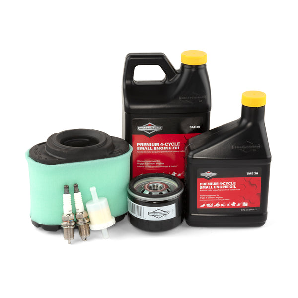 Briggs and Stratton 84002317 kit contents oil and filters