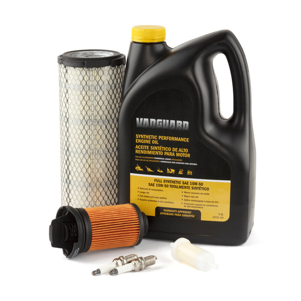 Briggs and Stratton 84002318 kit contents air filter and oil filter