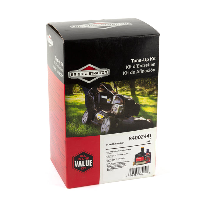 Briggs & Stratton 84002441 Kit Maintenance
