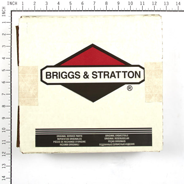 Briggs & Stratton 841729 Rewind Starter