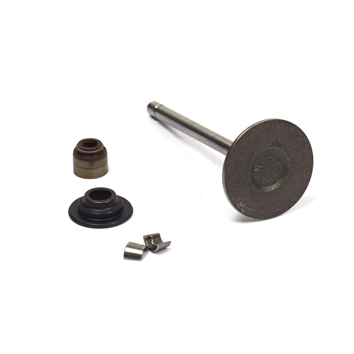 Briggs & Stratton 843730 Valve