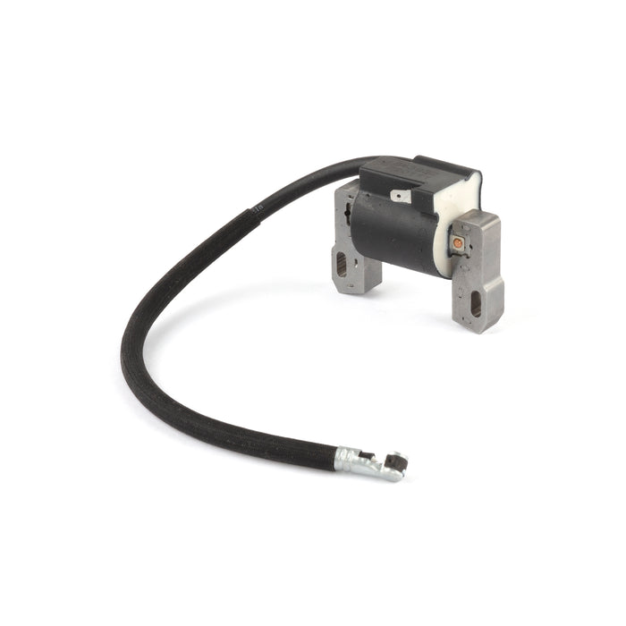 Briggs & Stratton 843860 Armature