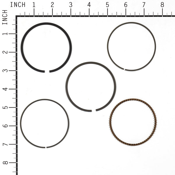 Briggs & Stratton 843953 Ring Set