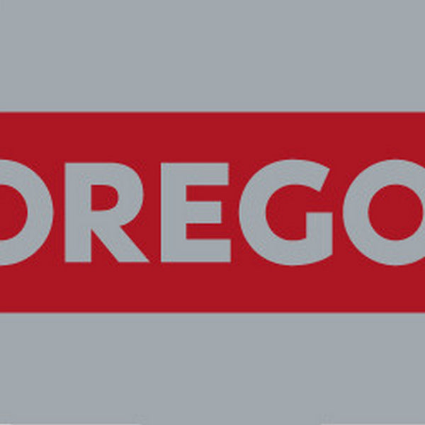 Oregon 240VXLHD025 .050" Gauge 3/8" Pitch 24" VersaCut Guide Bar Default Title