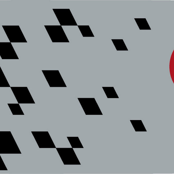 Oregon 164TXLNA095 Speedcut Nano 16" Guide Bar Gray Default Title