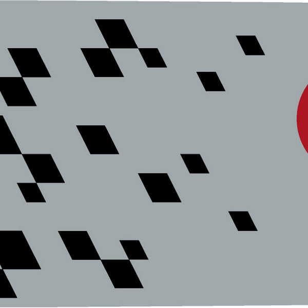 Oregon 164TXLNA074 Speedcut Nano 16" Guide Bar Gray Default Title